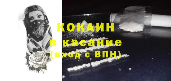 стаф Алзамай