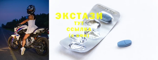 стаф Алзамай