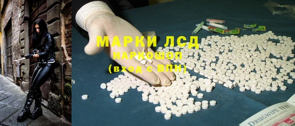 стаф Алзамай