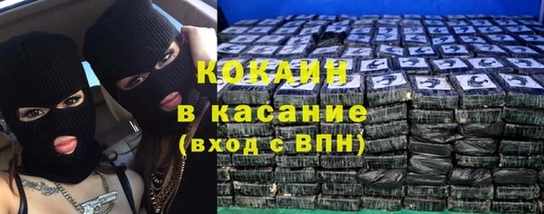 стаф Алзамай
