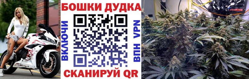 Бошки марихуана Amnesia  купить закладку  darknet официальный сайт  Бикин 